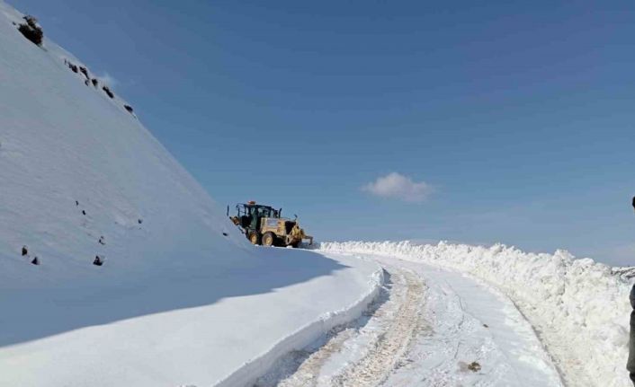 Diyarbakır’ın iki ilçesinde karla kaplı yollar temizlendi