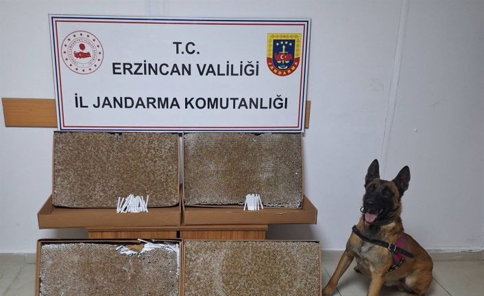 Erzincan’da 2025 Ocak ayında jandarma mıntıkasında meydana gelen 126 olayın yüzde 99’u aydınlatıldı