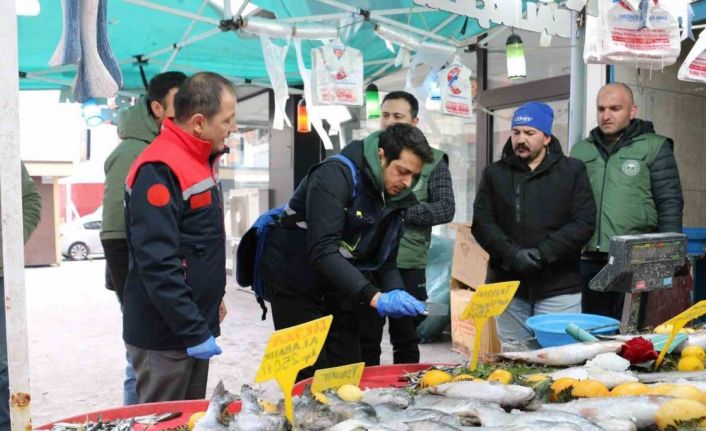 Erzincan’da balık denetimi gerçekleştirildi