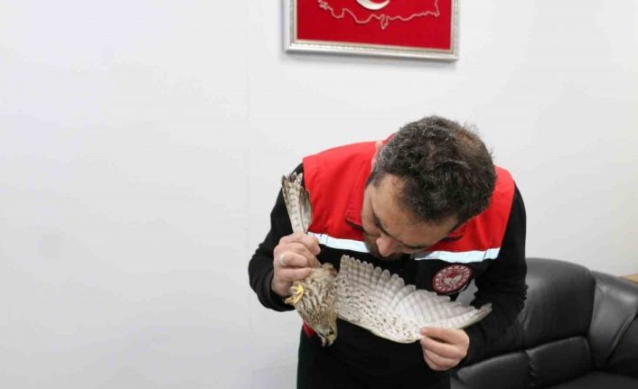 Erzincan’da ekipler, kerkenez için seferber oldu