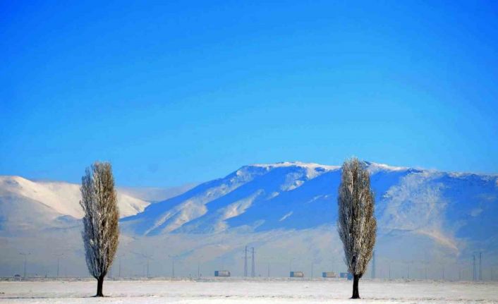 Erzurum’da zemheri soğuklar