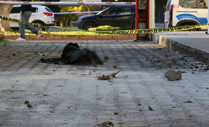 Eski eşini yakarak öldüren kocaya ağırlaştırılmış müebbet talebi