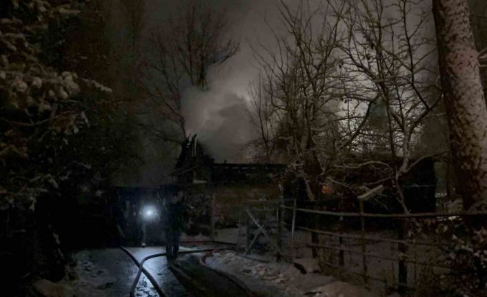 Ev ve ahır küle döndü