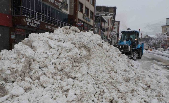Hakkari’de "Kar Timi" görev başında