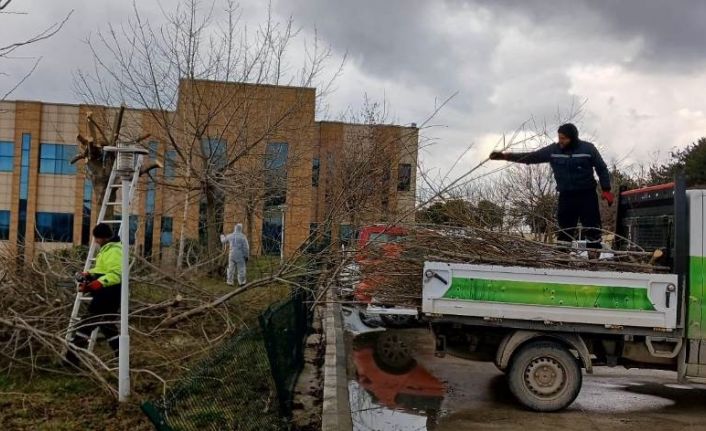 Hastane bahçesine estetik görünüm
