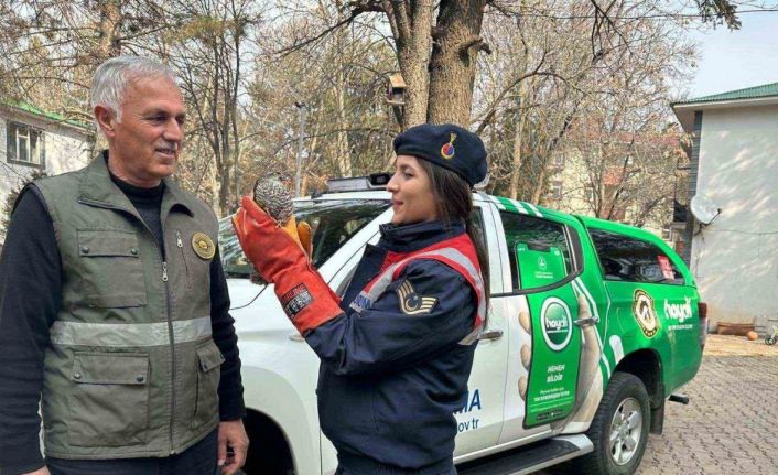 HAYDİ ekibi tarafından bulunan yaralı atmaca DKMP’ye teslim edildi