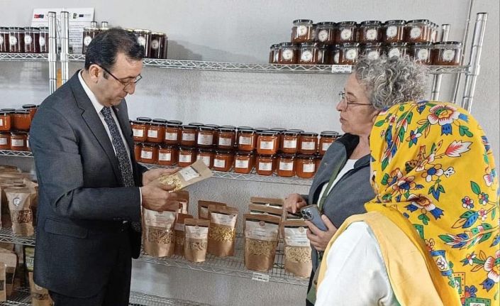 İl Tarım ve Orman Müdürü Ergün Demirhan, Ayvacık’ta incelemelerde bulundu