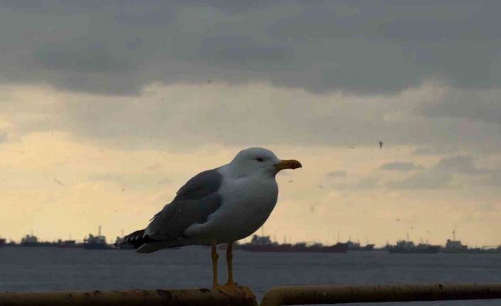İstanbul’da kar yağışı etkisini yer yer arttırdı