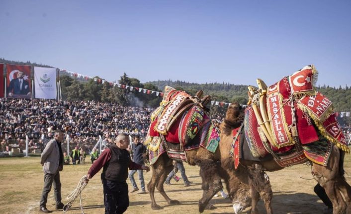 İzmir’de 16. Torbalı Deve Güreşleri Festivali düzenlendi