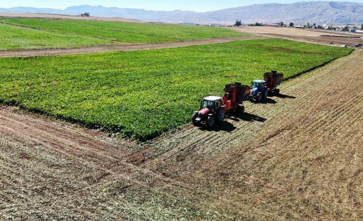 Kar yağışları bu sene çiftçinin yüzünü güldürecek