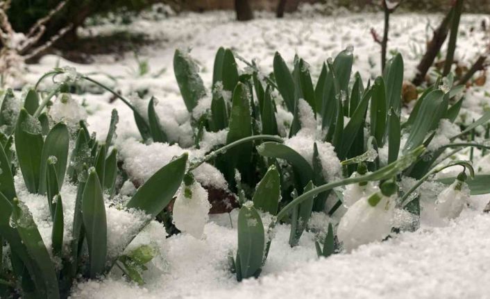 Karaman, beyaza büründü