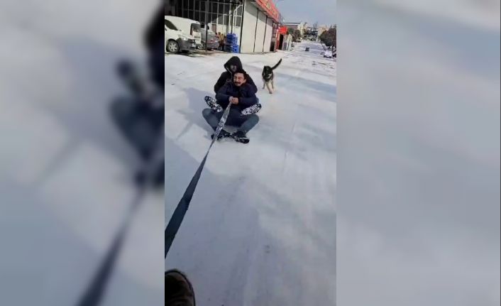 Kayak keyfi yapanlara eşlik eden köpek renkli görüntüler oluşturdu