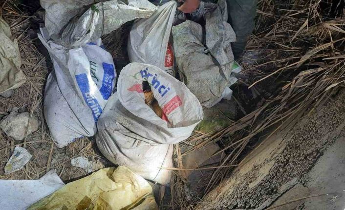 Kızılırmak’ta kaçak balık avlayan 2 şahsa suçüstü baskın