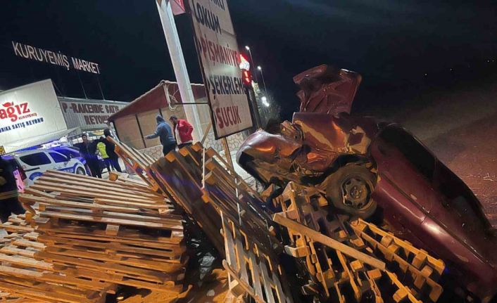 Kontrolden çıkan otomobilin sürücüsü yaralandı