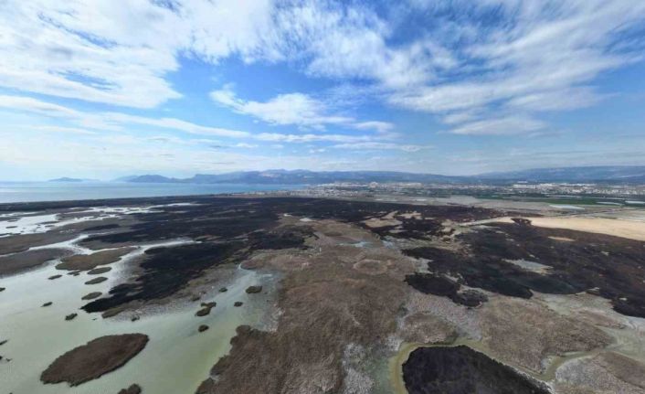 Kuş cenneti cehenneme döndü, bin dönümlük alan yandı