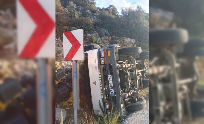 Limon yüklü kamyonet devrildi: 1 yaralı