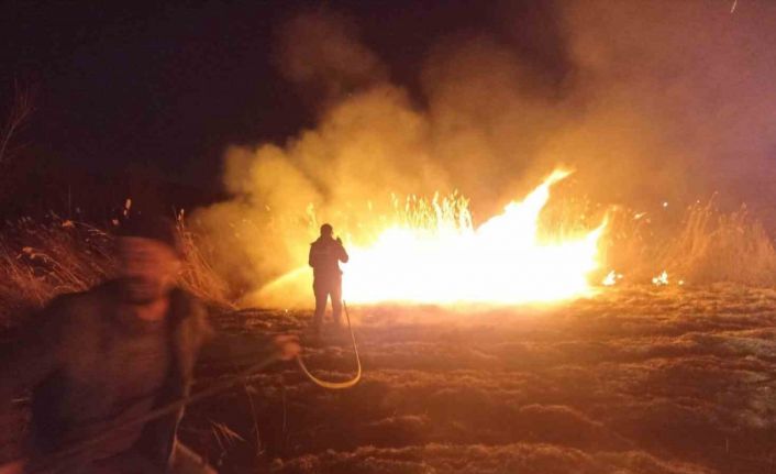 Malatya’da sazlık alanda yangın