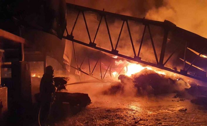 Manisa’da halı fabrikasında yangın: Alevler geceyi aydınlattı