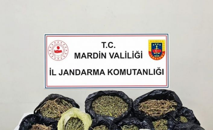 Mardin’de uyuşturucu ticareti yapan şahıs tutuklandı
