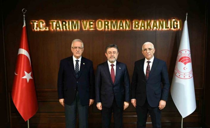 Marmarabirlik Yönetim Kurulu Başkanı Hidamet Asa: