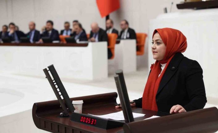 Milletvekili Ün: "Atanmış kişilere bu derece yetki tanınması siyasi suistimallere neden olabilir"