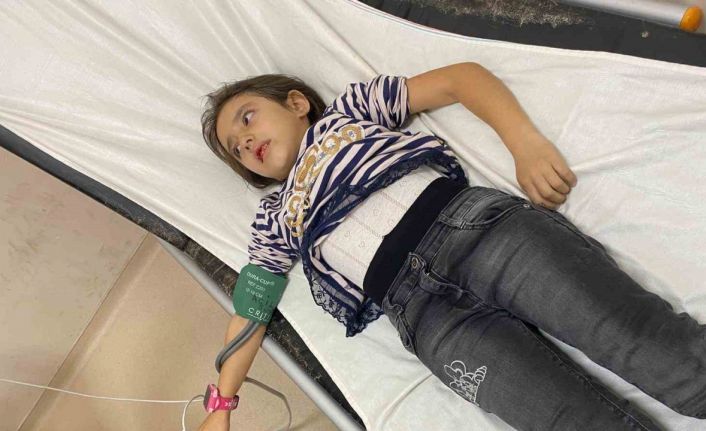 Müdür Yardımcısının bahçede beslediği köpekler 9 yaşındaki öğrenciyi ısırdı