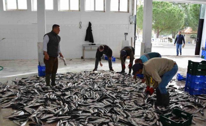 Muğla’nın Ocak ayı ihracatı 80,5 milyon dolar