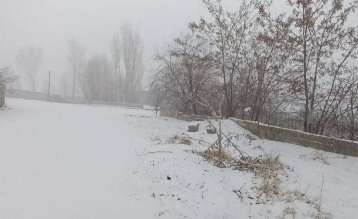 Muradiye’de kar yağışı