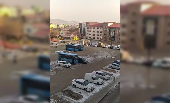 Muş’ta başıboş köpeklerden kaçan öğrenci yere kapaklandı