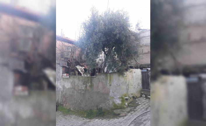 Müstakil evde çıkan yangın korkuttu