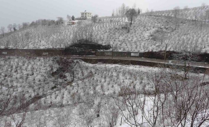 ‘Ordu’da etkili olan kar fındık için zararlı değil, yararlı’