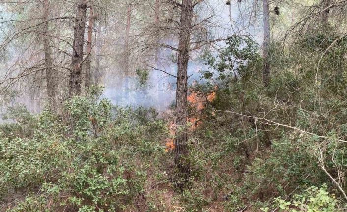 Osmaniye’de çıkan orman yangını kontrol altına alındı