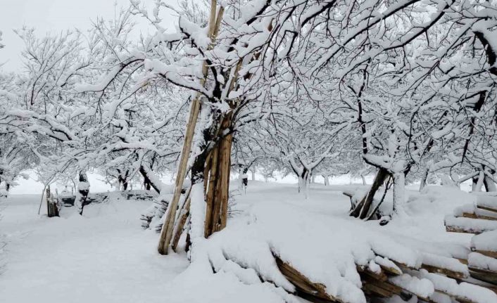 Pütürge’de kar yağışıyla kartpostallık görüntüler ortaya çıktı