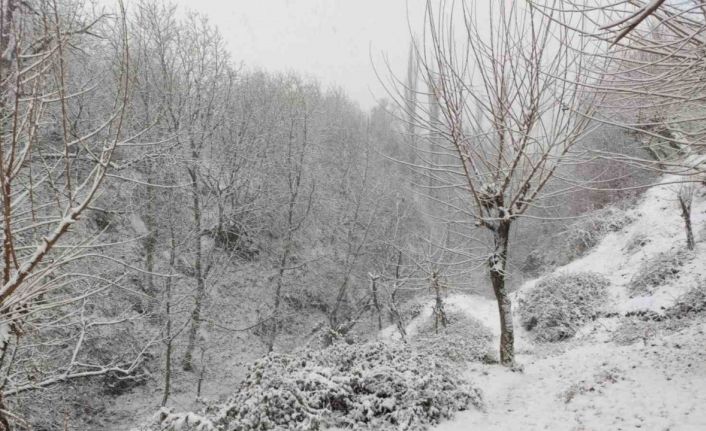 Sason’da etkili olan kar yağışı köy yollarını ulaşıma kapattı
