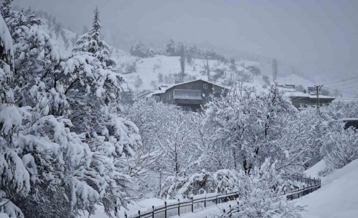 Sincik’te kartpostallık görüntüler oluştu