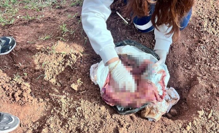 Şırnak’ta bebek cinayetine 2 tutuklama