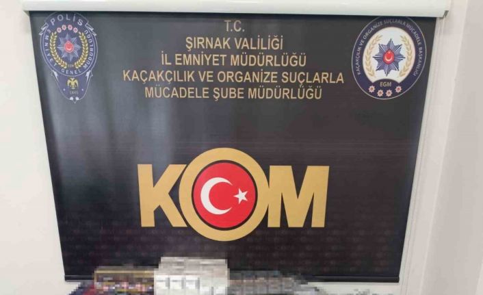 Şırnak’ta terör, kaçakçılık ve asayiş operasyonları 57 şüpheli hakkında işlem yapıldı