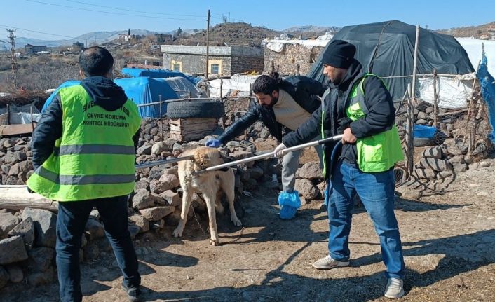 Siverek’te kuduz alarmı: Köpek saldırısında 3 kişi yaralandı, köy karantinaya alındı