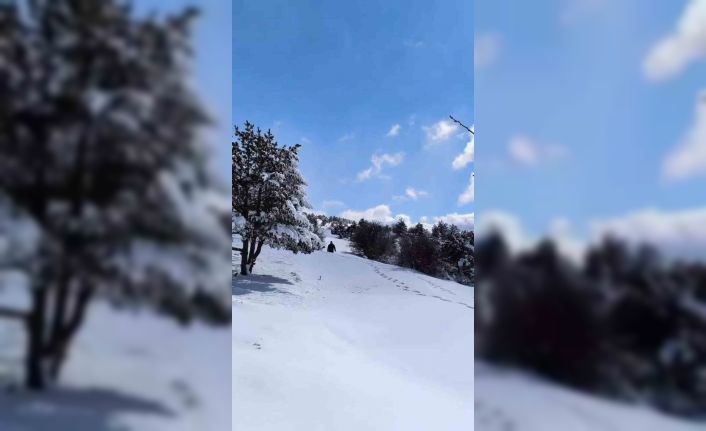 Soğuk kış aylarında Elmadağ esnafı yabani hayvanları unutmadı