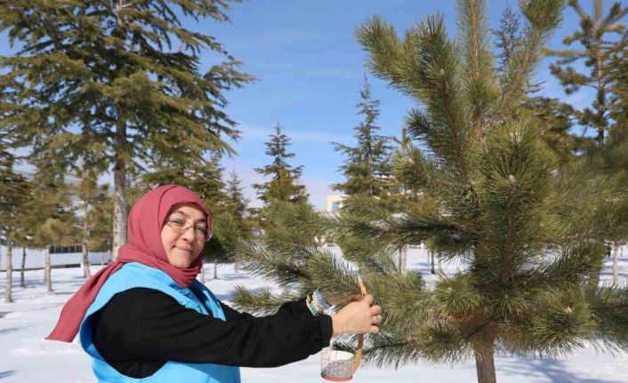 Sokak hayvanlarını unutmadılar