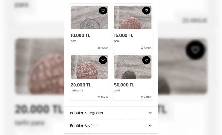 Tarihi sikkeleri internet üzerinden satışa çıkardılar