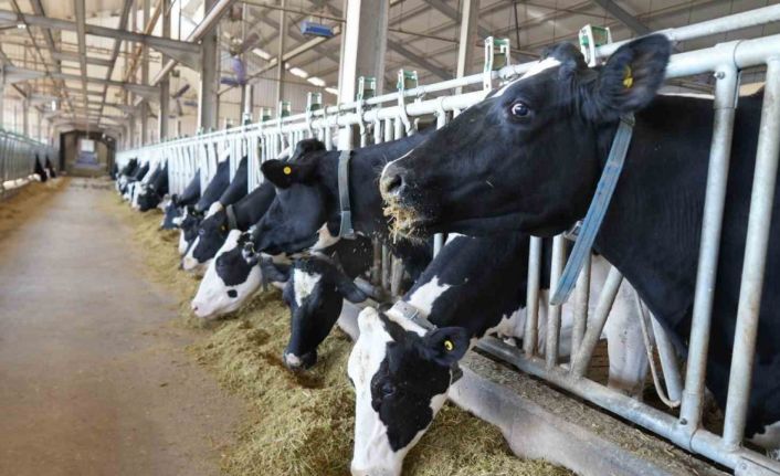 Tarım ve Orman İl Müdürlüğü’nden üreticilere proje çağrısı