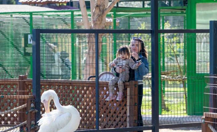 Tarsus Doğa Parkı, yarı yıl tatilinde çocukları ağırlıyor