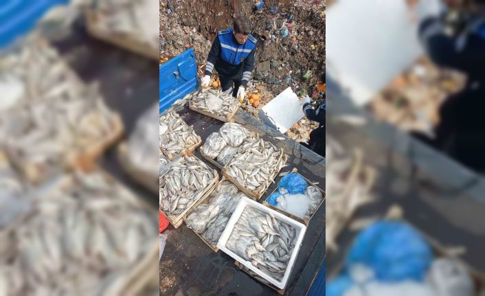 Tarsus’ta 16 kasa balık imha edildi