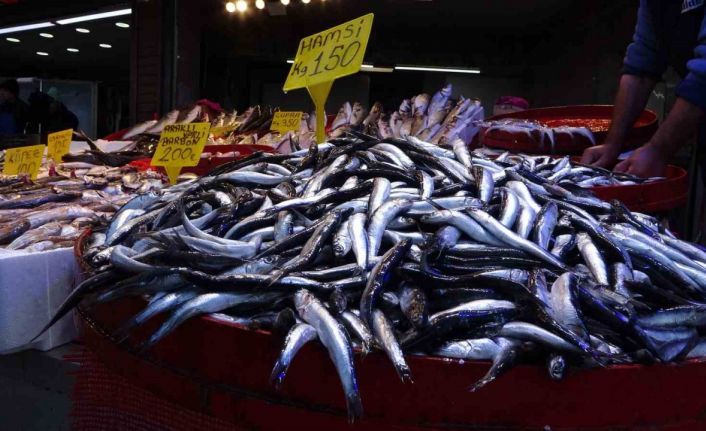 Tezgahtaki yerini kimseye bırakmadı, son yılların en verimli sezonu yaşandı