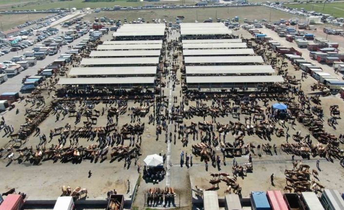 Türkiye’nin en büyük hayvan pazarı şap nedeniyle kapatıldı