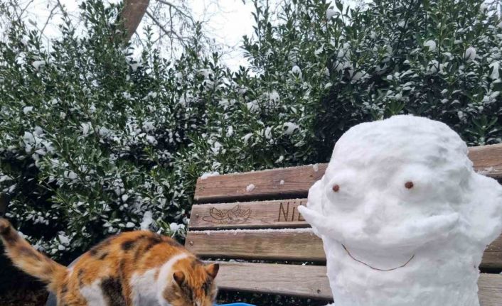 Uludağ Elektrik, yaz kış demeden sokak hayvanlarına destek olmaya devam ediyor