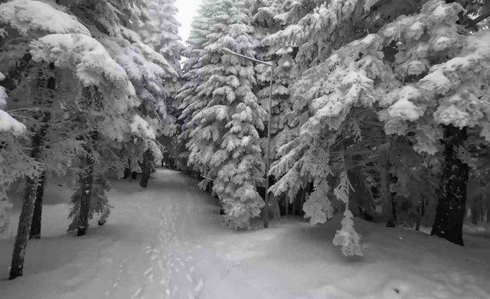 Uludağ’da kartpostallık görüntüler