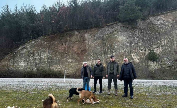 Vezirköprülü avcılar, yaban hayvanlarını besledi