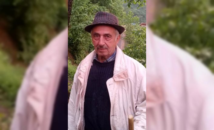 Yaşlı adamın cesedi yol kenarında bulundu